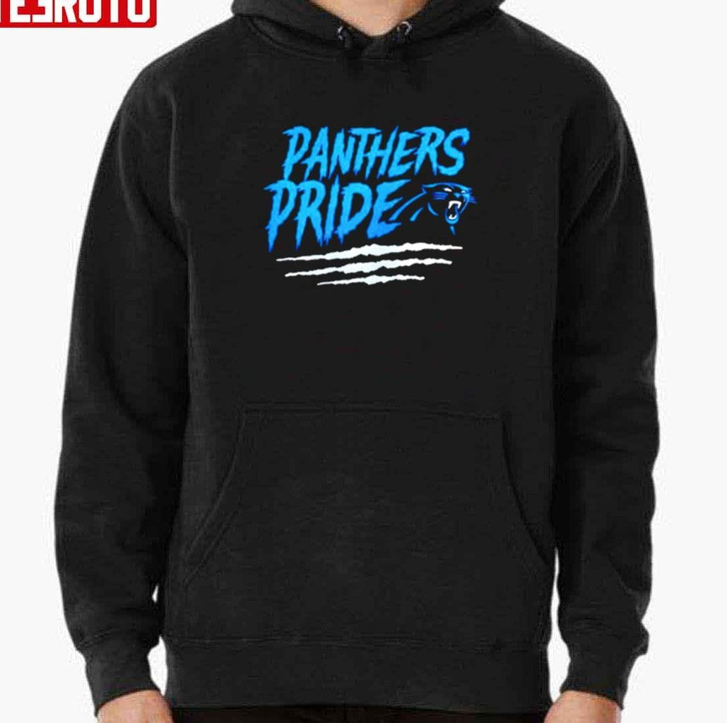 Carolina Panthers Football Hometown Collection 1st Down Unisex Sweatshirt