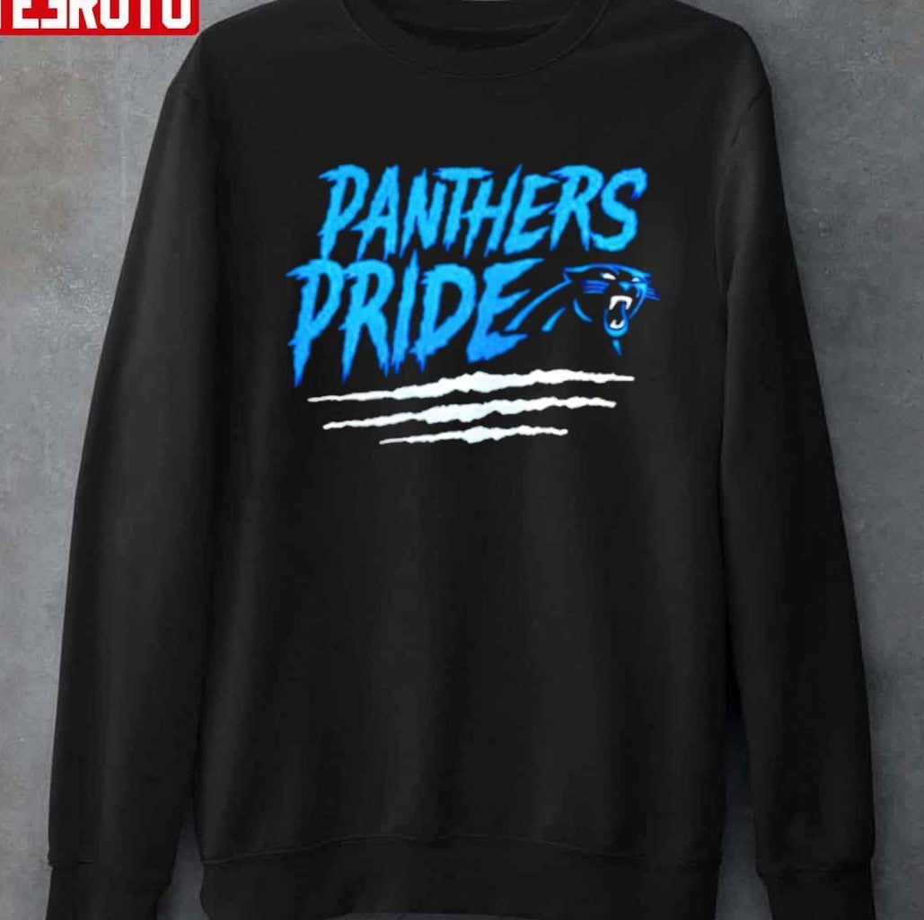 Carolina Panthers Football Hometown Collection 1st Down Unisex Sweatshirt